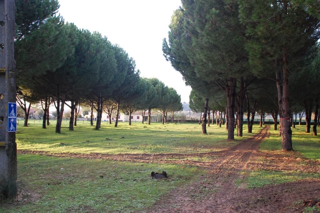 מלון Rossio ao Sul do Tejo Quinta A Reforma מראה חיצוני תמונה
